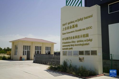 务实耕耘 共同发展——探访乌兹别克斯坦上合组织农业基地中乌现代农业科技示范园