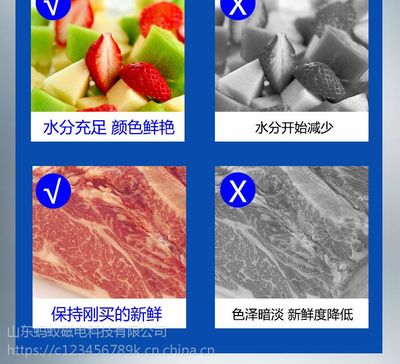 圣凯铜管冰柜商用大容量卧式冷藏冷冻商用家用节能单温双温